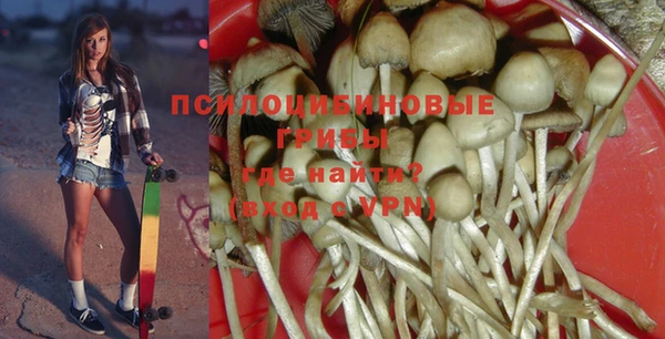 spice Куйбышев