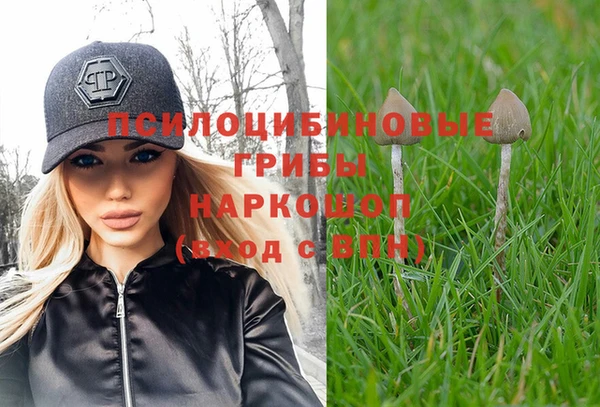 spice Куйбышев