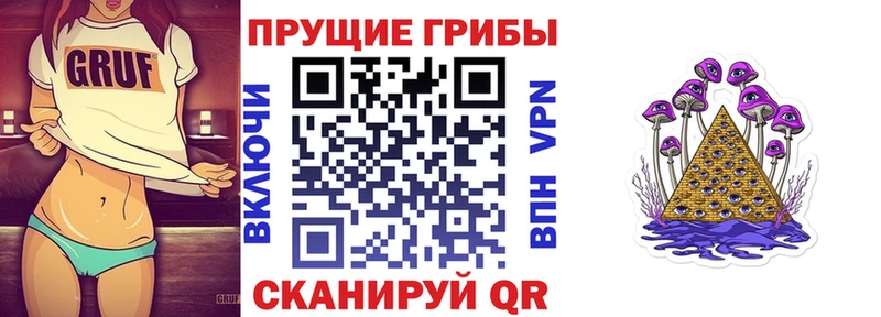 Псилоцибиновые грибы Psilocybe  Покачи 